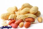درمان تازه مقابله با آلرژی به بادام زمینی